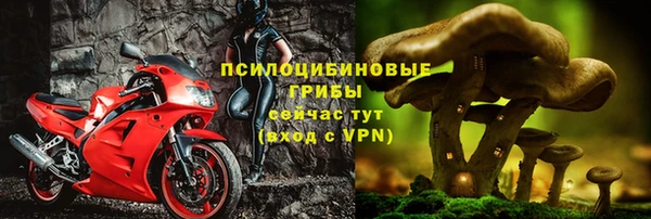 ГАЛЛЮЦИНОГЕННЫЕ ГРИБЫ Балабаново